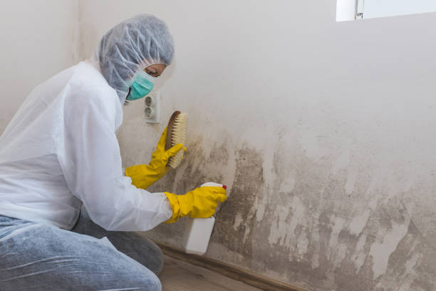 Best Asbestos and Lead Testing During Mold Inspection  in Stony Prairie, OH